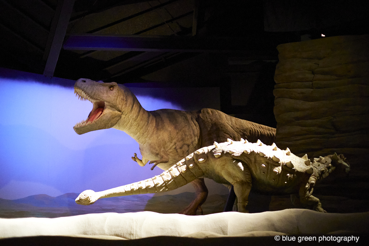 神流町恐竜センターのライブシアター